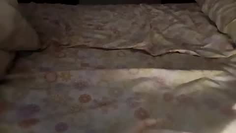 Snapshot of bullspain27266272 chatting on 03-03-25, 04:47 bullspain27266272 online show from 03-03-25, 04:47