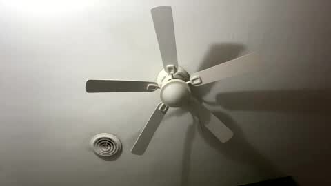 Snapshot of bunnibaby333 chatting on 09-28-25, 09:58 bunnibaby333 online show from 09-28-25, 09:58