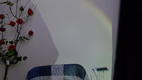 Ariel online show from 04-28-26, 08:03