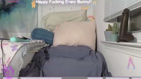 Snapshot of bunnycheekz chatting on 12-04-24, 11:24 Tokki bunny online show from 12-04-24, 11:24