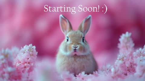 Snapshot of bunnydollstella chatting on 05-10-26, 09:53 Stella online show from 05-10-26, 09:53