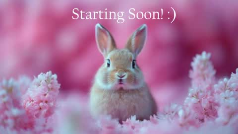 Snapshot of bunnydollstella chatting on 05-18-26, 09:53 Stella online show from 05-18-26, 09:53