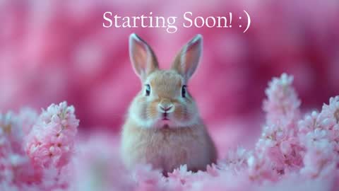 Snapshot of bunnydollstella chatting on 06-05-26, 12:06 Stella online show from 06-05-26, 12:06