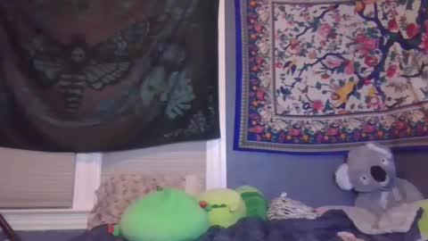 Snapshot of burnthemail chatting on 02-02-25, 10:46 lilly online show from 02-02-25, 10:46