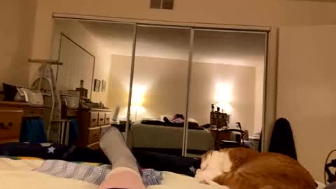 busty_2008 online show from 03-18-26, 03:42