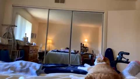 busty_2008 online show from 03-20-26, 12:04