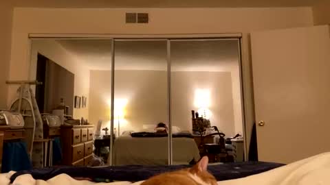 busty_2008 online show from 03-27-26, 02:50