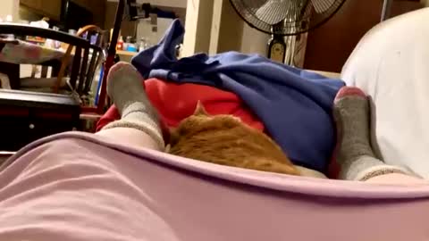 busty_2008 online show from 03-30-26, 03:29