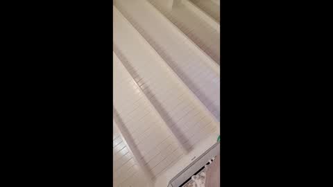 bustyirie online show from 02-03-26, 05:40