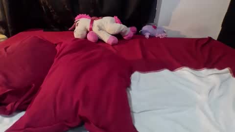 Snapshot of buttercup_milk chatting on 02-20-26, 06:37 Dylan online show from 02-20-26, 06:37