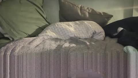 1DontR3member online show from 01-14-26, 08:53