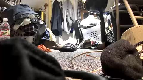 Snapshot of c547409 chatting on 10-21-25, 10:32 c547409 online show from 10-21-25, 10:32