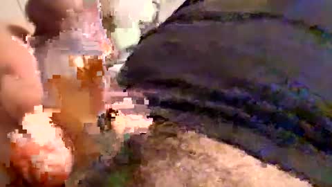 Snapshot of cactus_1041 chatting on 12-30-24, 05:58 Cactus1041 online show from 12-30-24, 05:58