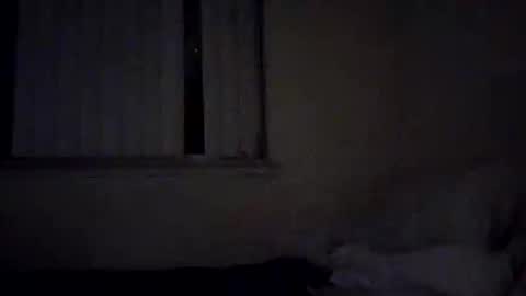 caga_palos online show from 02-17-26, 04:31