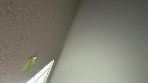 cakedupmothman online show from 05-06-26, 06:02