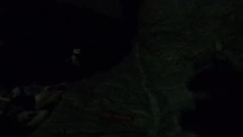 Snapshot of calisguitar chatting on 12-29-24, 07:39 Calisguitar online show from 12-29-24, 07:39