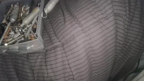 Snapshot of calisguitar chatting on 02-13-25, 11:17 Calisguitar online show from 02-13-25, 11:17