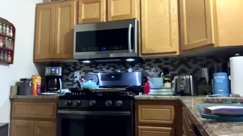 calishop1 online show from 12-15-24, 03:56