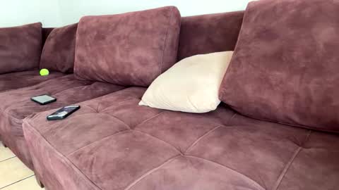 Snapshot of callmeelmore chatting on 02-20-26, 06:19 My name is Robert Dont be shysay hi I love to chat. For requests or dirty talk please use tips online show from 02-20-26, 06:19