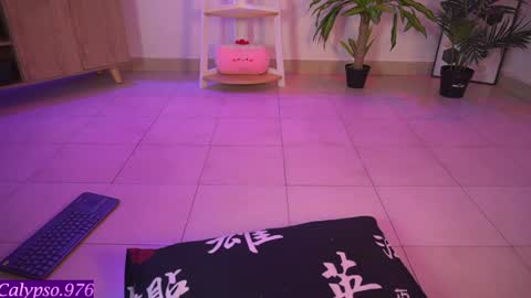 Calypso and Kayla online show from 02-04-25, 05:21