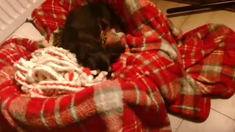 CamDoAttitude online show from 01-28-25, 08:58