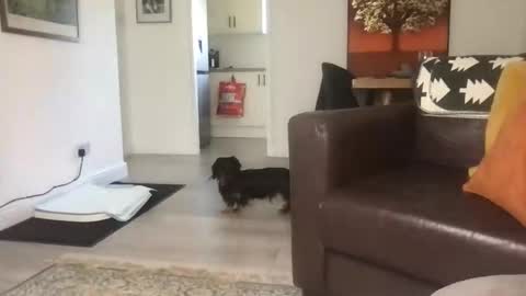 CamDoAttitude online show from 09-23-25, 11:46