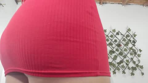 Snapshot of camihotboobs chatting on 01-29-25, 07:43 camihotboobs online show from 01-29-25, 07:43