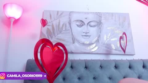 Snapshot of camiila_osorio chatting on 02-13-25, 06:30 Camila Osorio online show from 02-13-25, 06:30