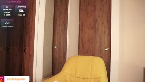 Snapshot of camilagomezz chatting on 02-06-25, 02:44 Camila online show from 02-06-25, 02:44