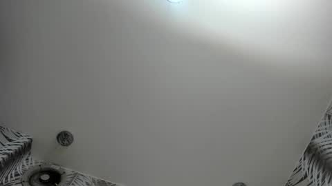 Camila  online show from 02-11-26, 03:11