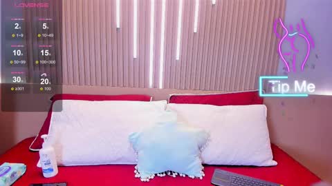 Snapshot of camile_cute chatting on 11-17-25, 08:25 camile_cute online show from 11-17-25, 08:25