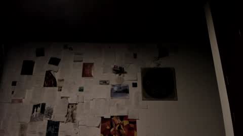  Camille   online show from 01-20-25, 12:28