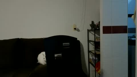 Camilo online show from 10-15-25, 09:26