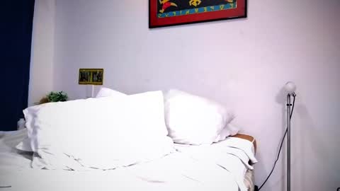 Snapshot of camilosaennz chatting on 02-09-25, 11:15 camilo online show from 02-09-25, 11:15