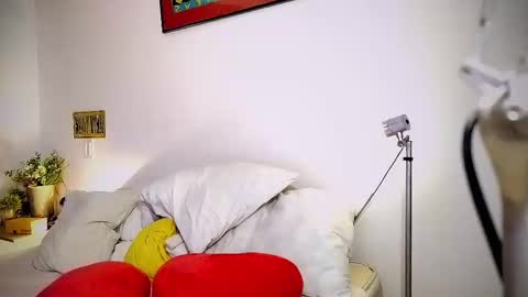 Snapshot of camilosaennz chatting on 03-06-25, 11:53 camilo online show from 03-06-25, 11:53