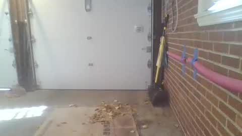 cammyman6900 online show from 11-13-25, 04:28