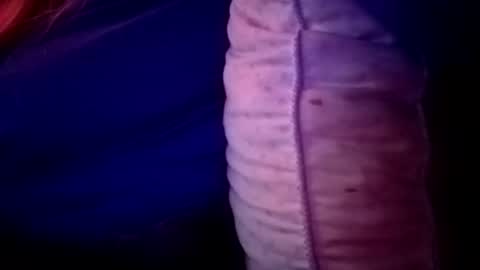 Candi online show from 11-16-25, 02:06