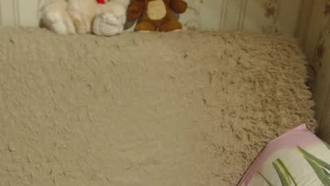 say meow and send tip  online show from 12-13-24, 05:21