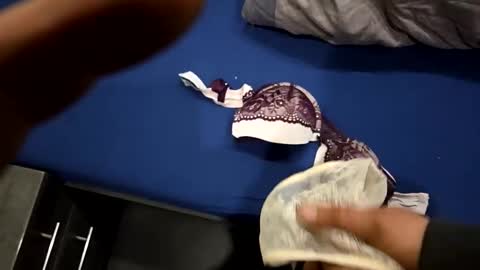 capoo24 online show from 10-28-25, 10:08