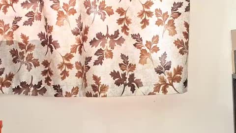 captian juicyprecum online show from 01-27-25, 04:30