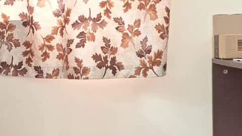 captian juicyprecum online show from 03-02-25, 07:54