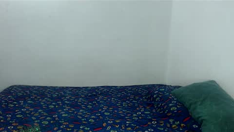 carapalida9008 online show from 11-25-25, 01:44