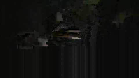 supersexycardie online show from 05-16-26, 04:09