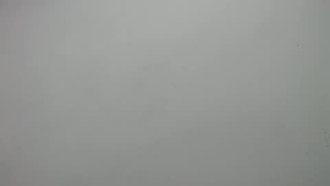 carla online show from 02-19-25, 03:05