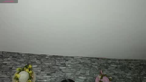 Snapshot of carolinajamess chatting on 11-04-25, 03:16 Camelia online show from 11-04-25, 03:16