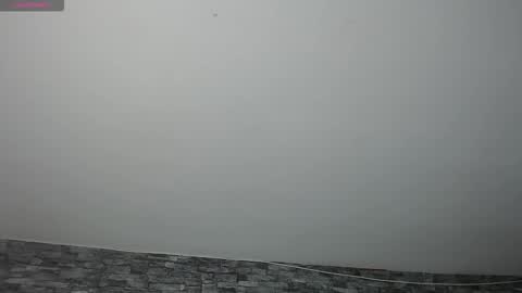 Snapshot of carolinajamess chatting on 11-17-25, 11:32 Camelia online show from 11-17-25, 11:32