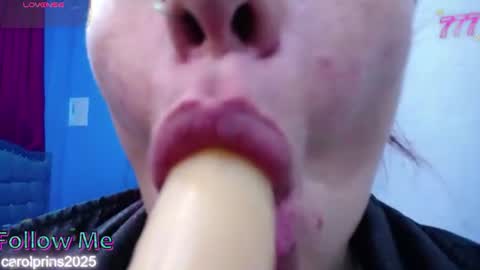 Snapshot of carolinhe_ chatting on 06-12-26, 03:27 Carolinhe online show from 06-12-26, 03:27
