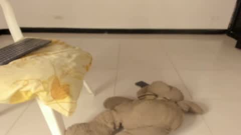 Caro online show from 03-11-26, 12:22