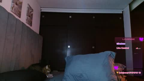 Carolinne online show from 02-27-25, 05:58