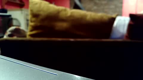 Snapshot of castration40 chatting on 10-17-25, 08:39 castration40 online show from 10-17-25, 08:39